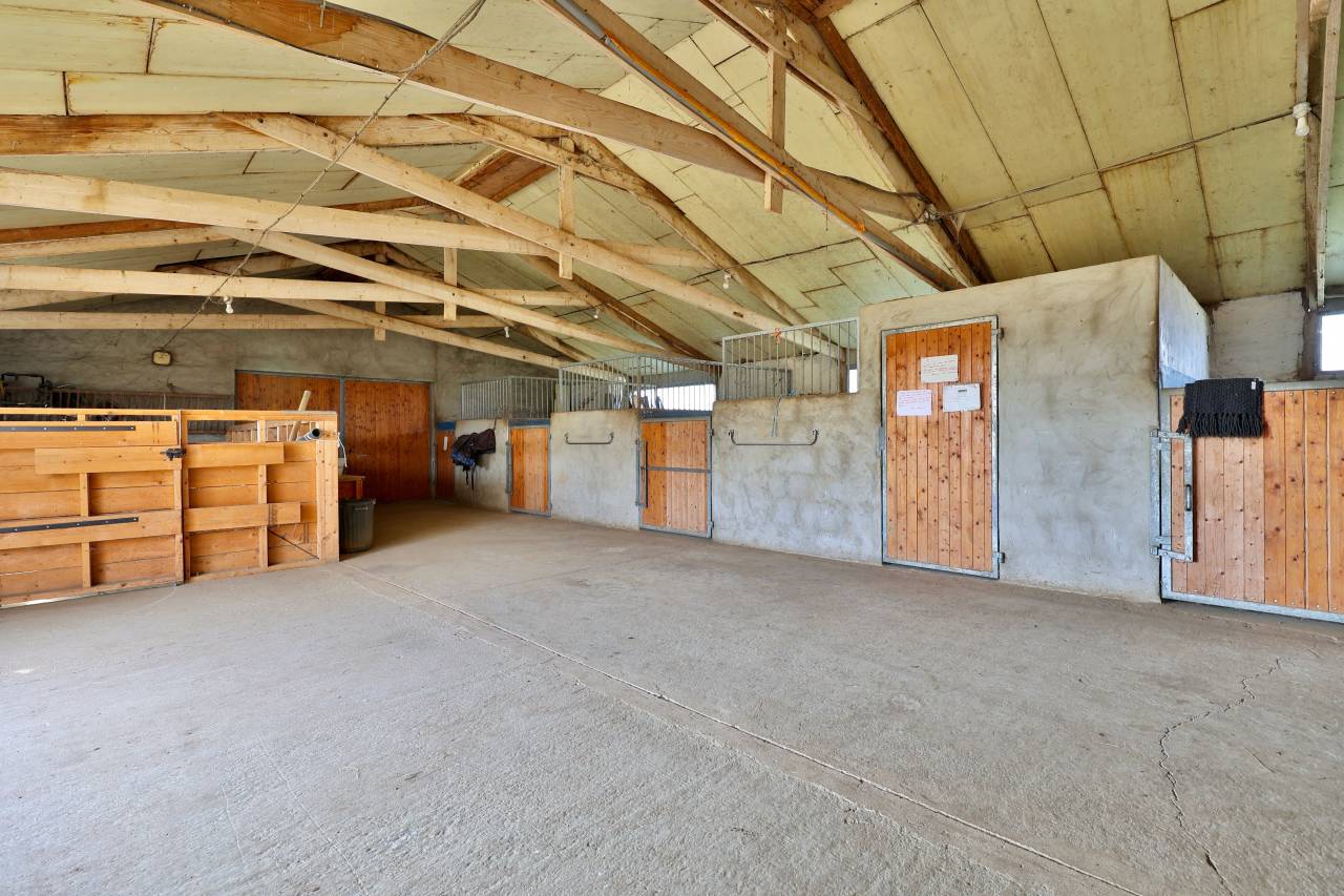 Propriété équestre de 5 ha (26)