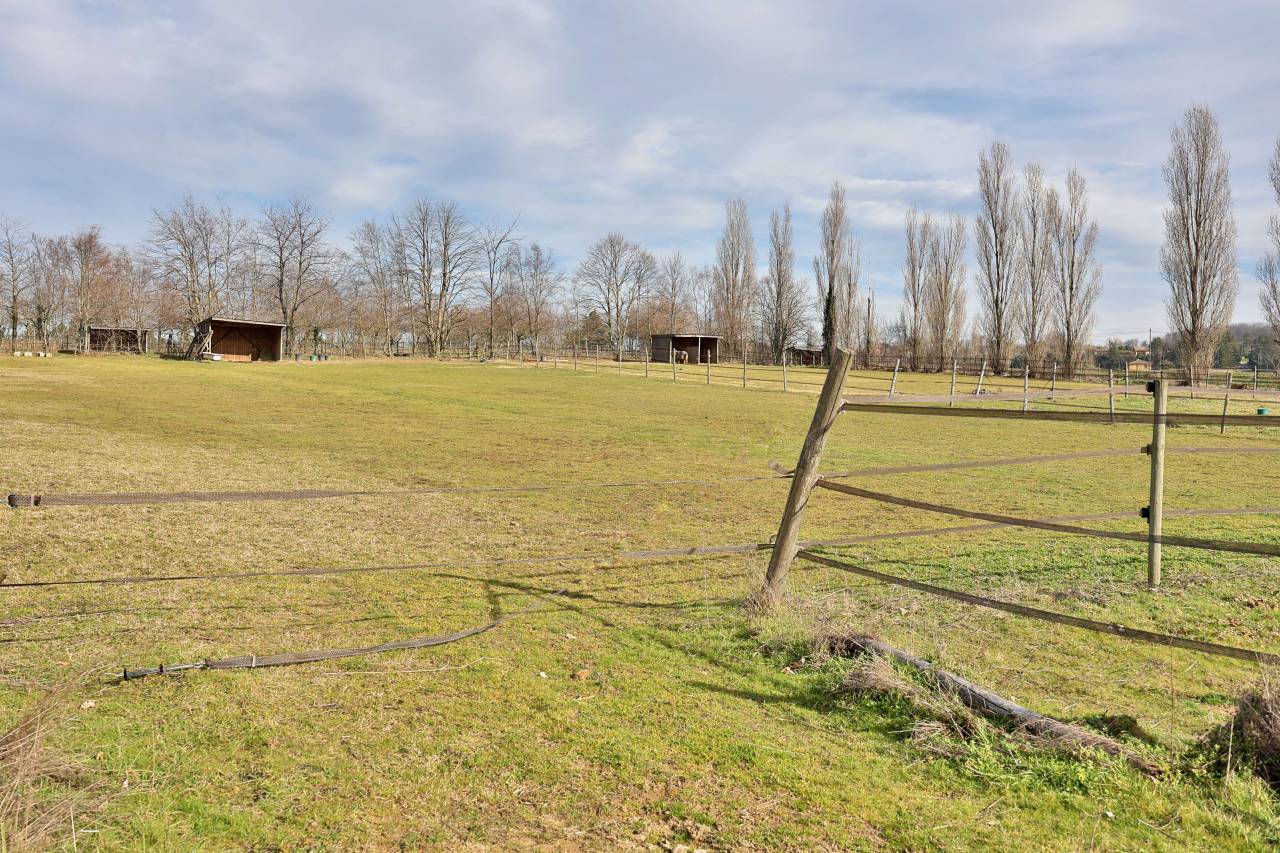 Propriété équestre de 5 ha (26)