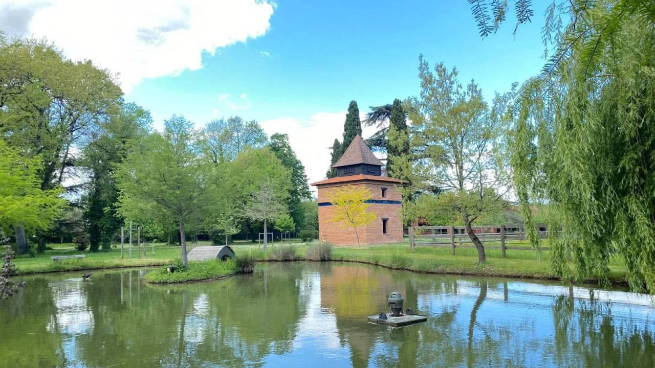 Somptueuse propriété équestre de 15h (82)