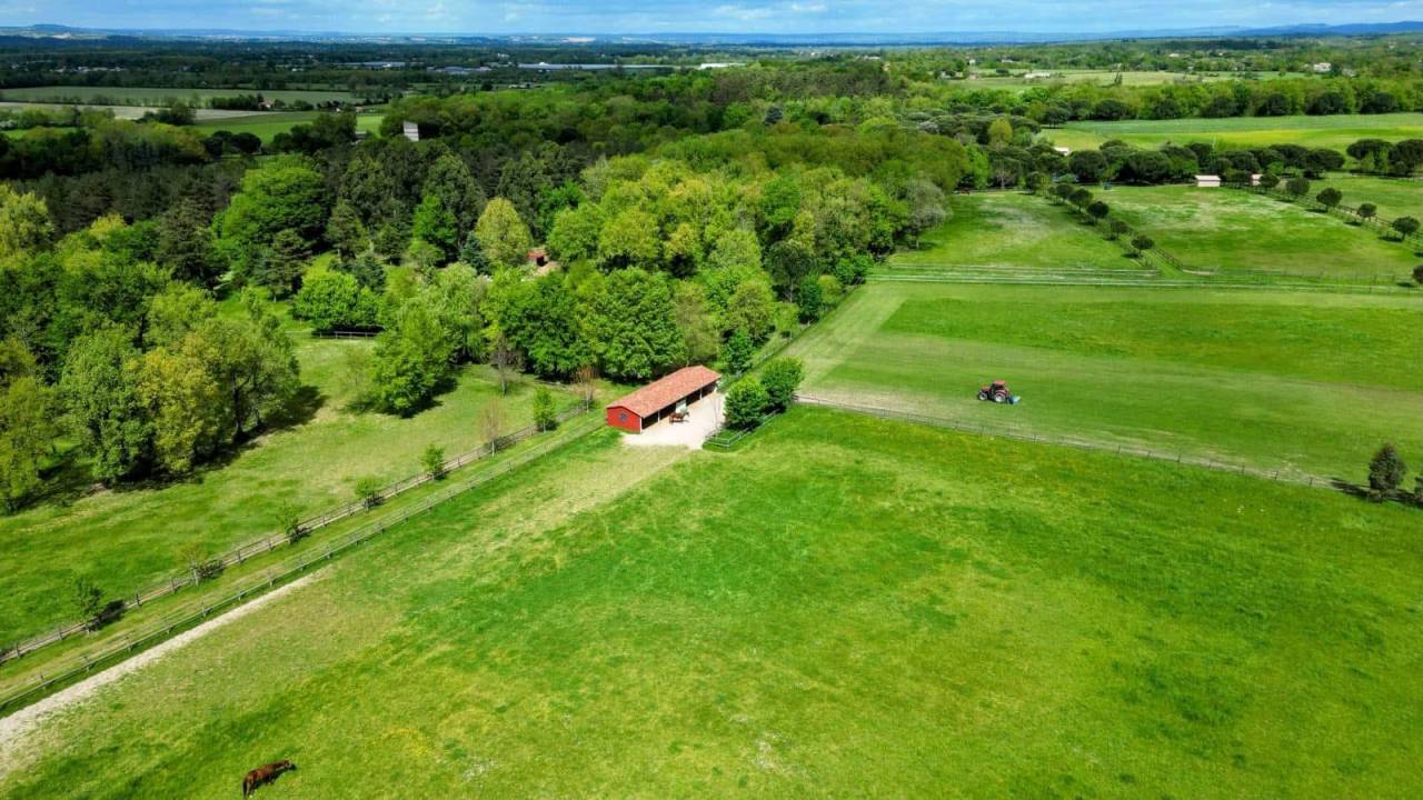 Somptueuse propriété équestre de 15h (82)