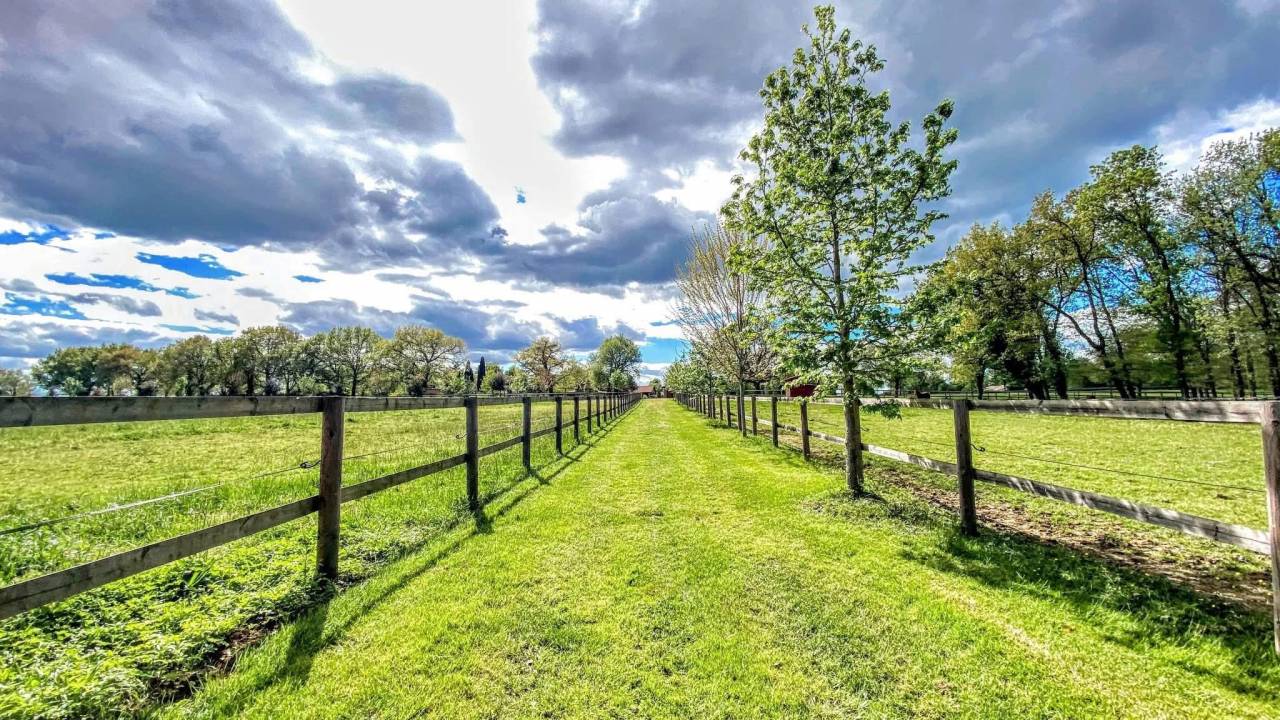 Somptueuse propriété équestre de 15h (82)