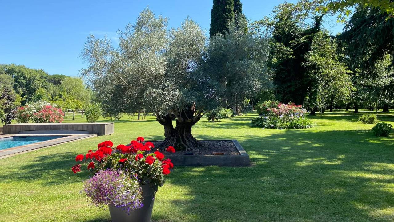 Somptueuse propriété équestre de 15h (82)