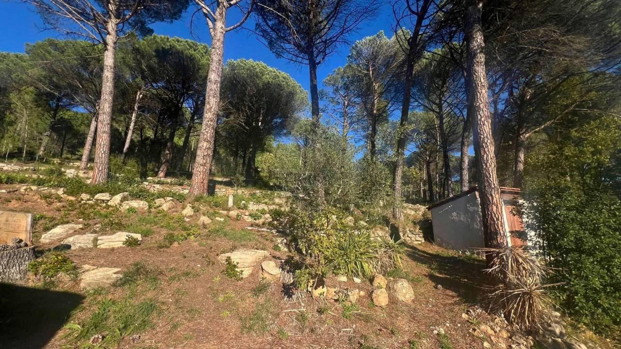 Propriété équestre de 3ha (83)