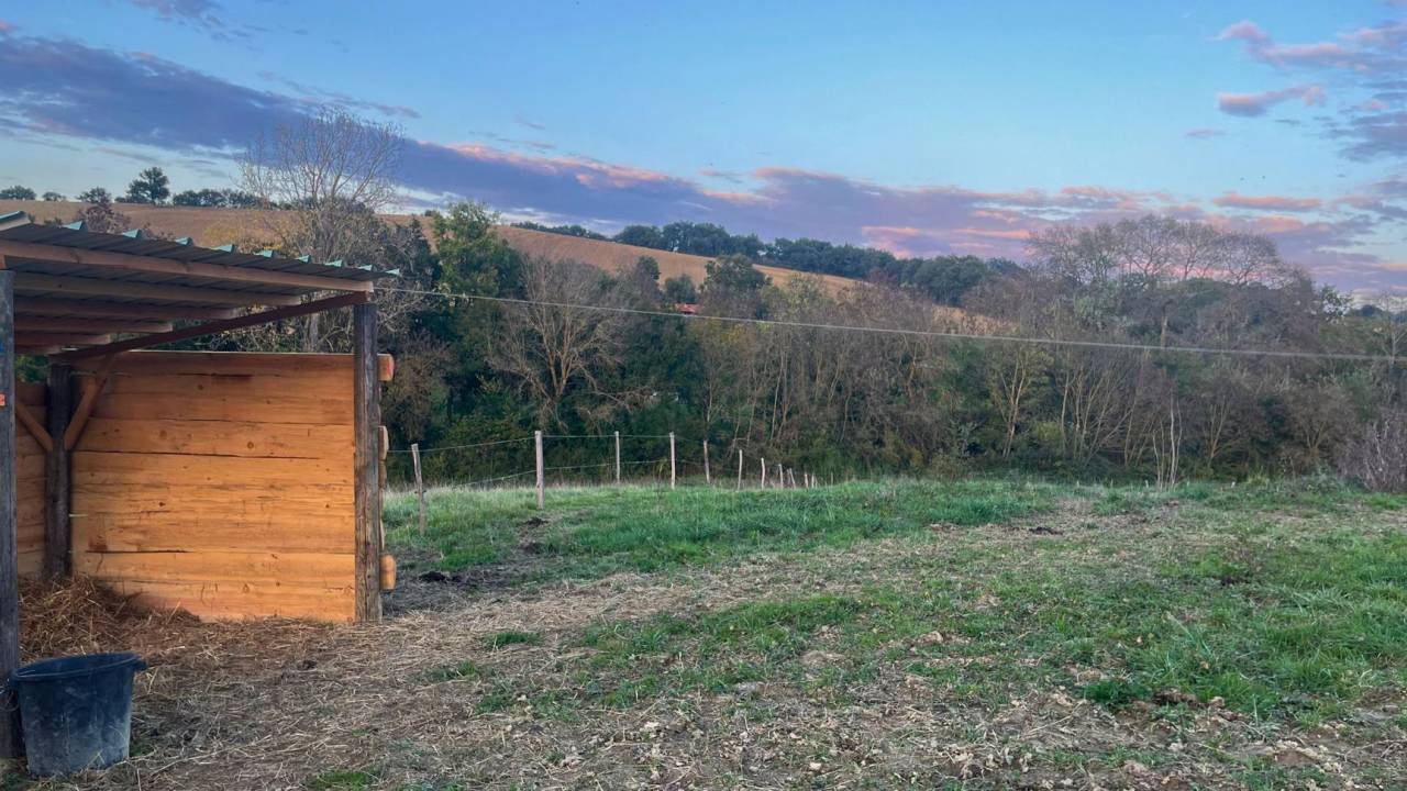 Propriété équestre de 3ha (32)