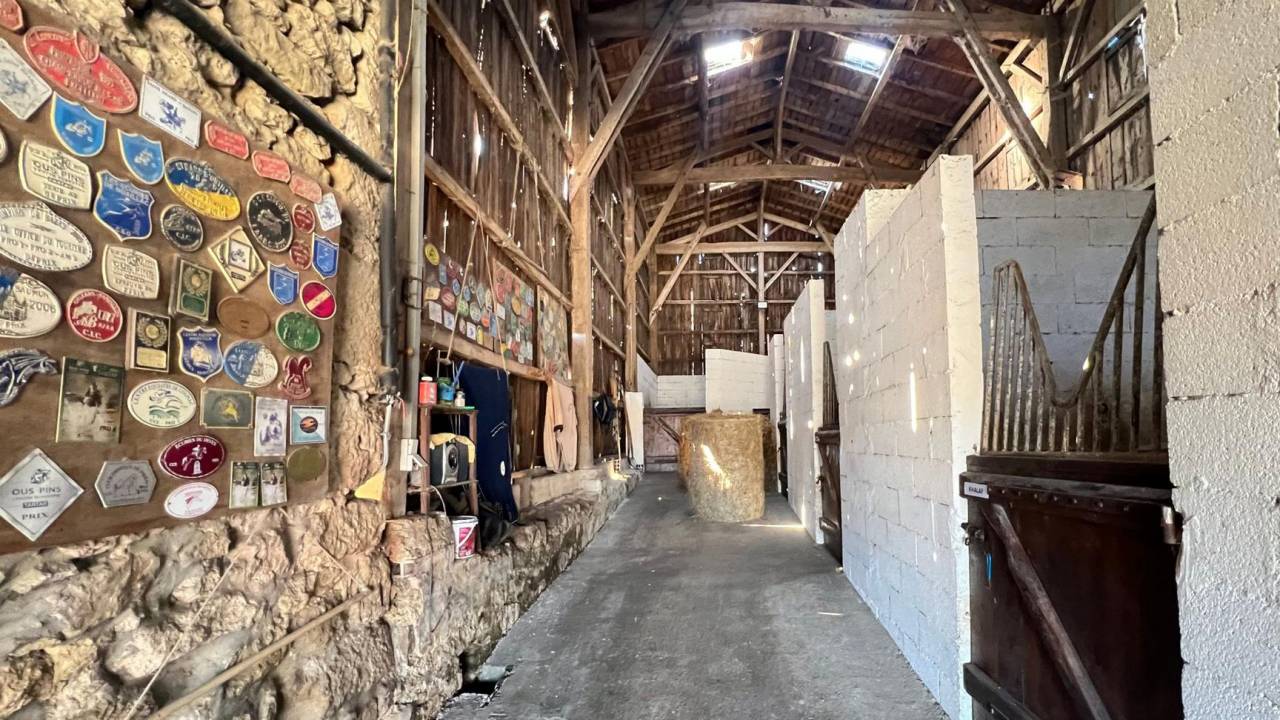 Propriété équestre de 12ha (33)