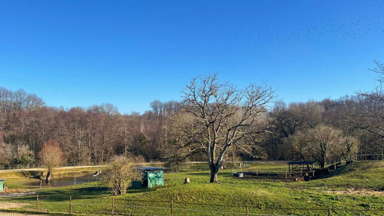 Propriété équestre de 12ha (33)