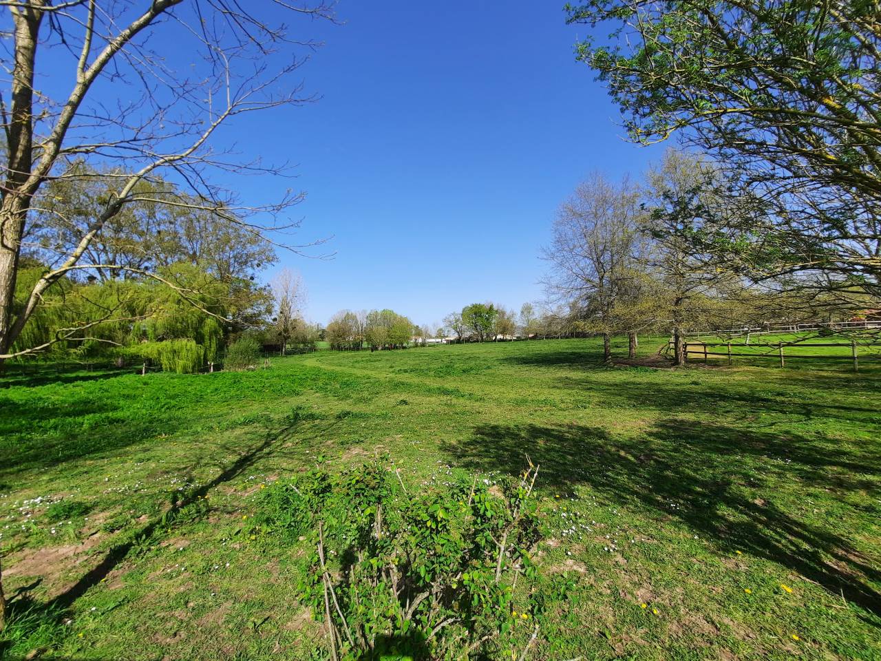 Propriété équestre sur 1,9 ha à 15 mn de LUÇON (85)