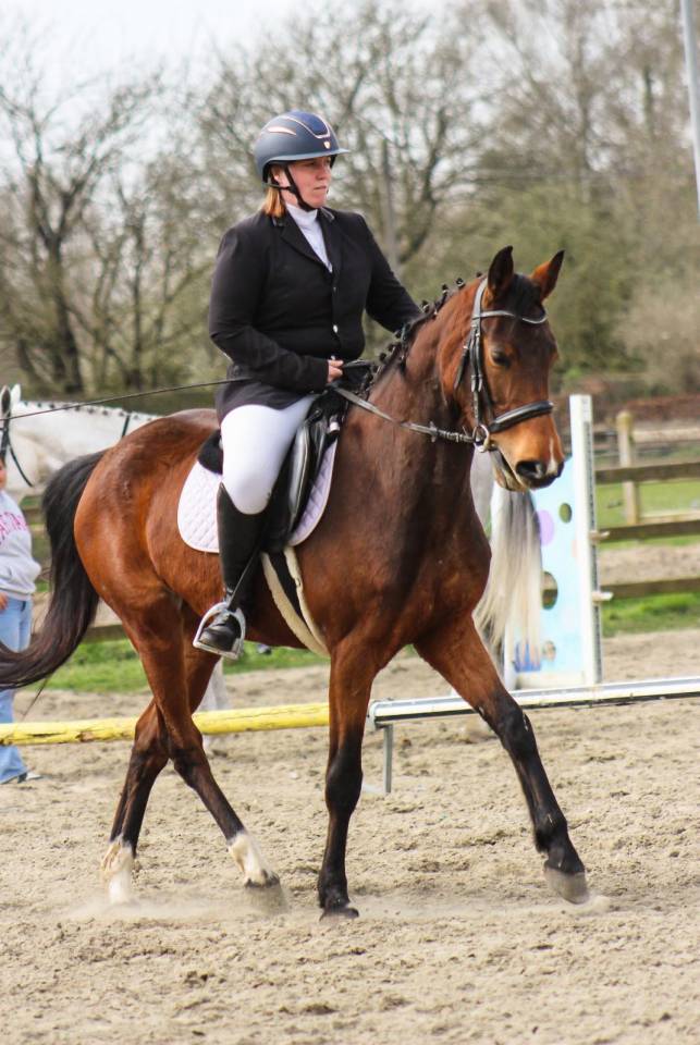 Jument de 4ans à vendre 