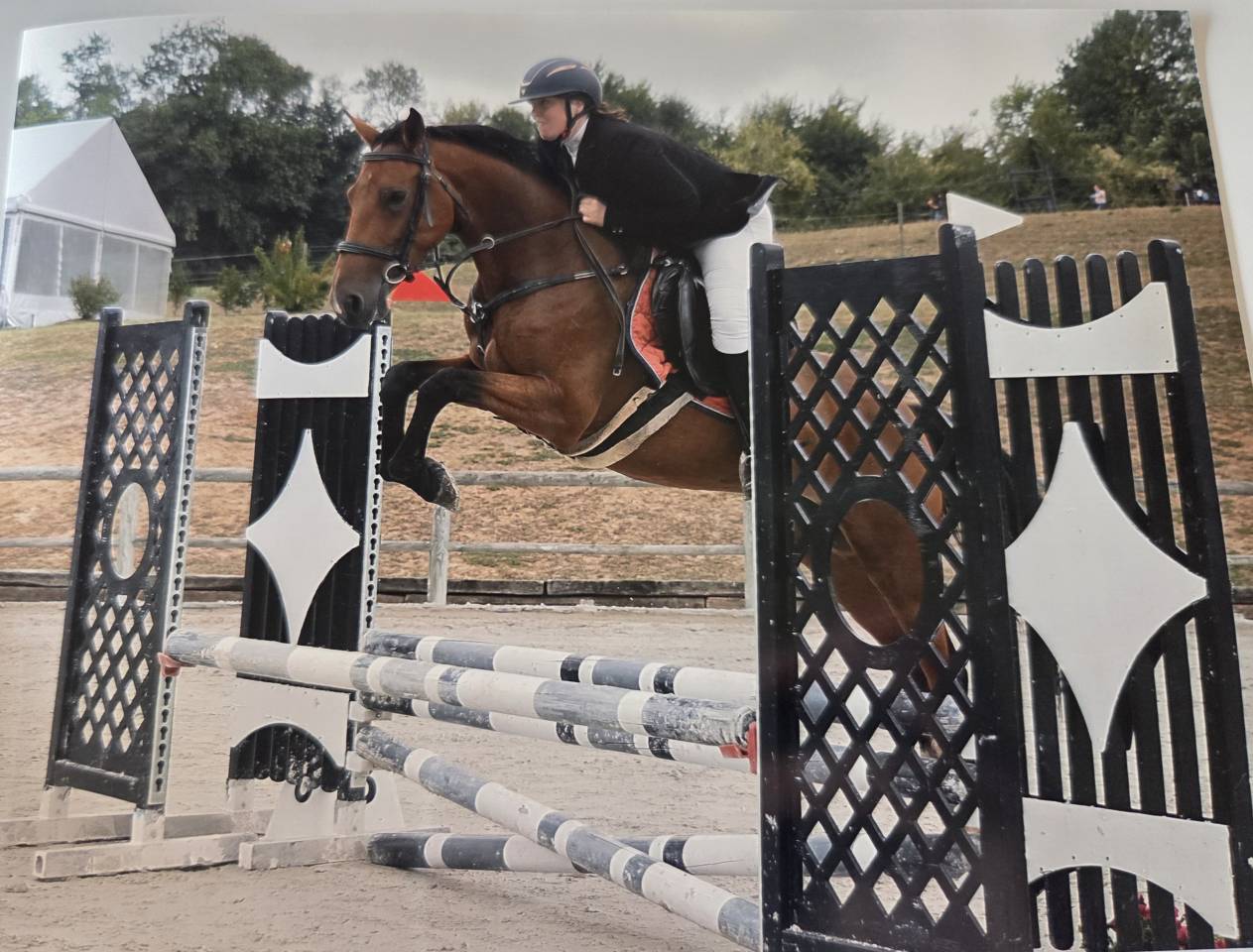 Jument de 4ans à vendre 