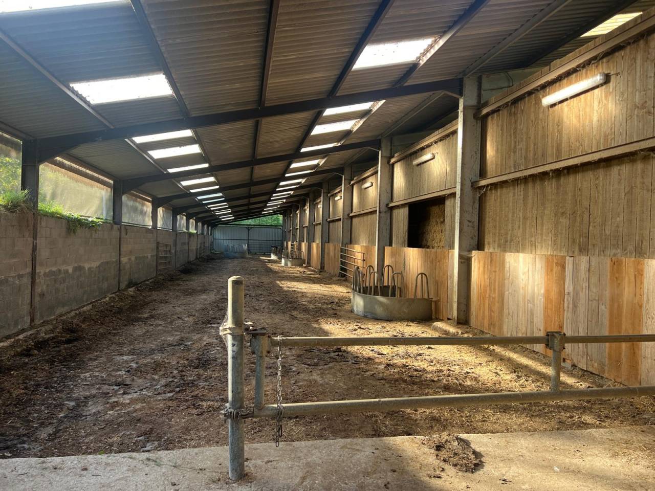 Proche Aubigny sur Nère