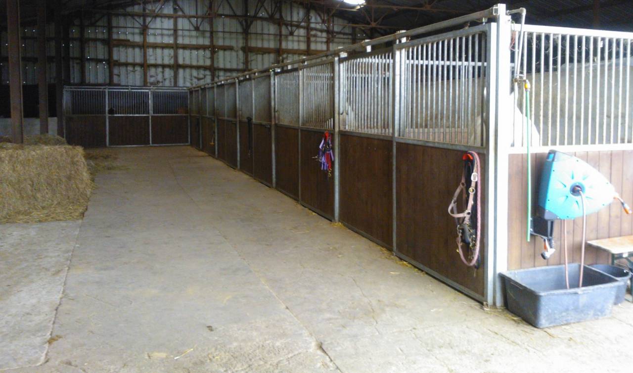 pension pour chevaux à Habay