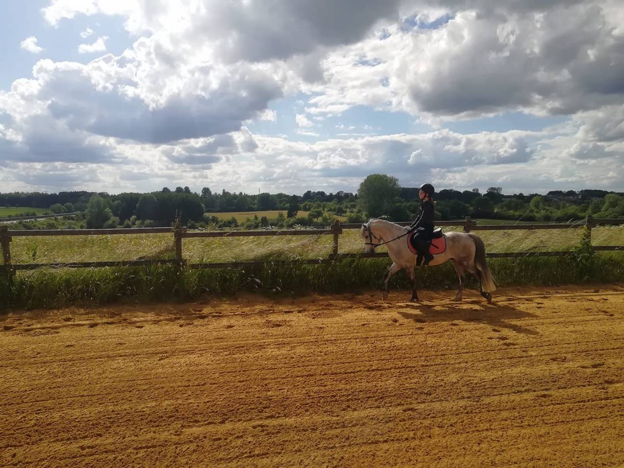 pension pour chevaux à Habay