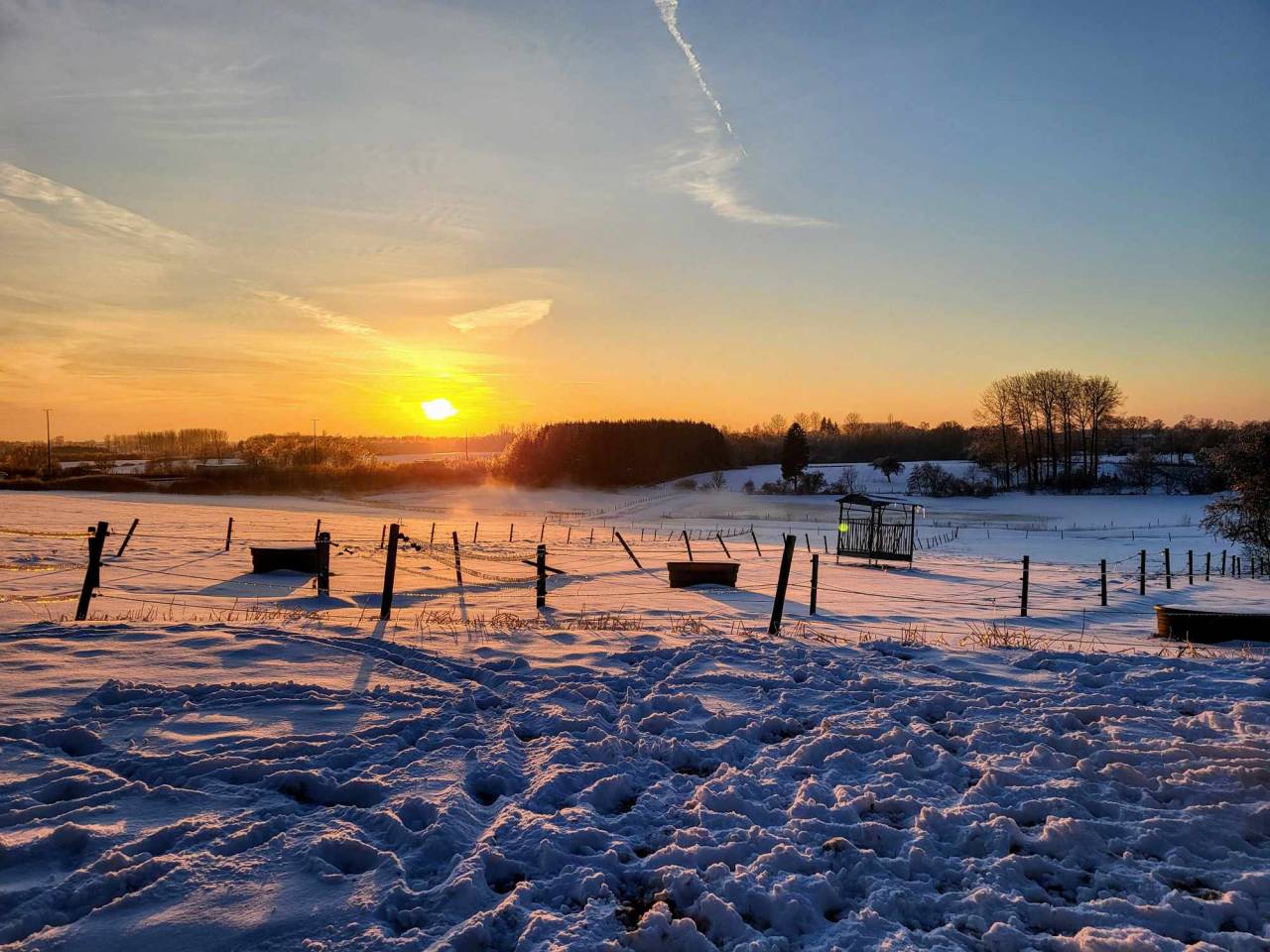 pension pour chevaux à Habay