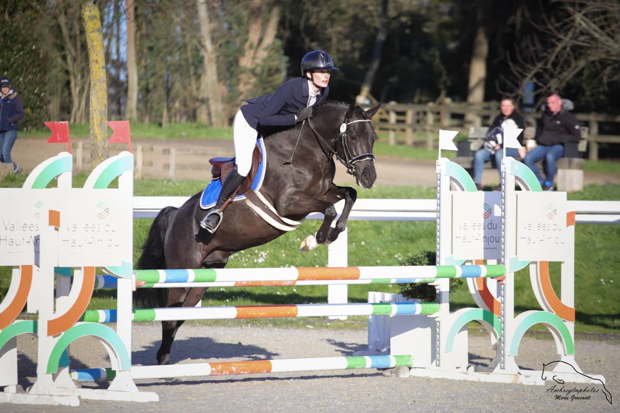 Meilleur New Forest de sa génération ! MERRIE MALACHIE