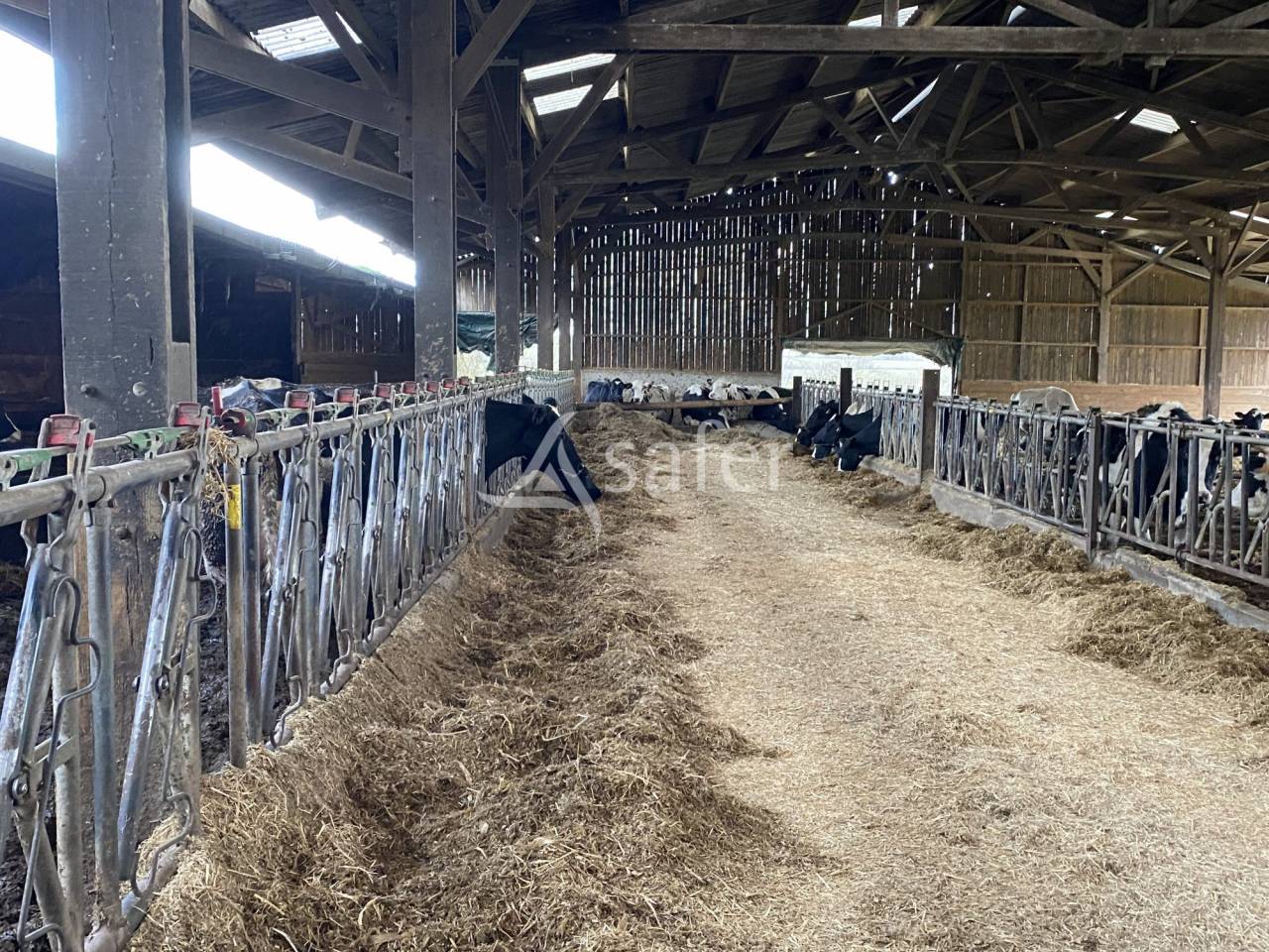 Exploitation agricole id&eacute;ale pour un projet d'installation av