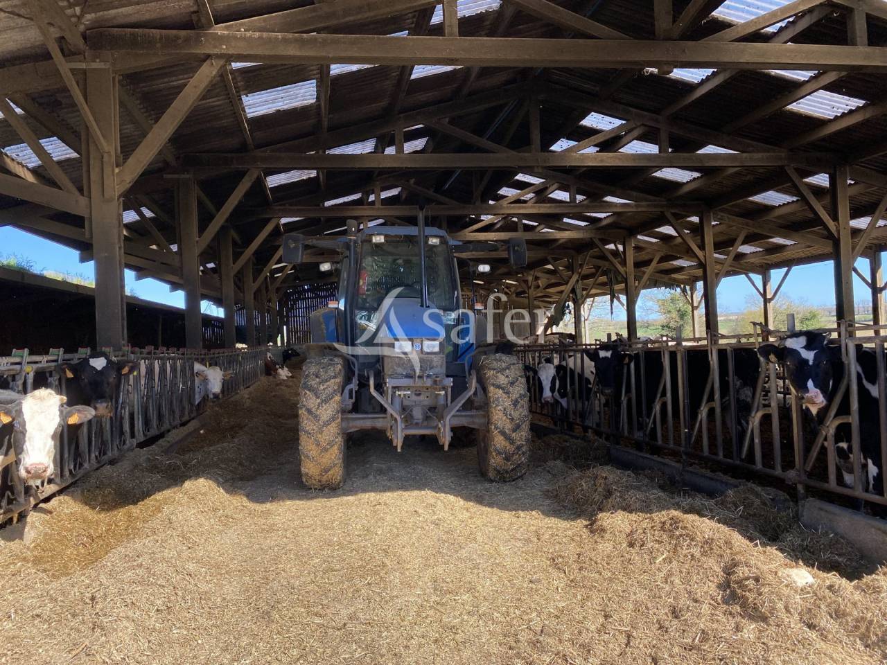 Exploitation agricole id&eacute;ale pour un projet d'installation av