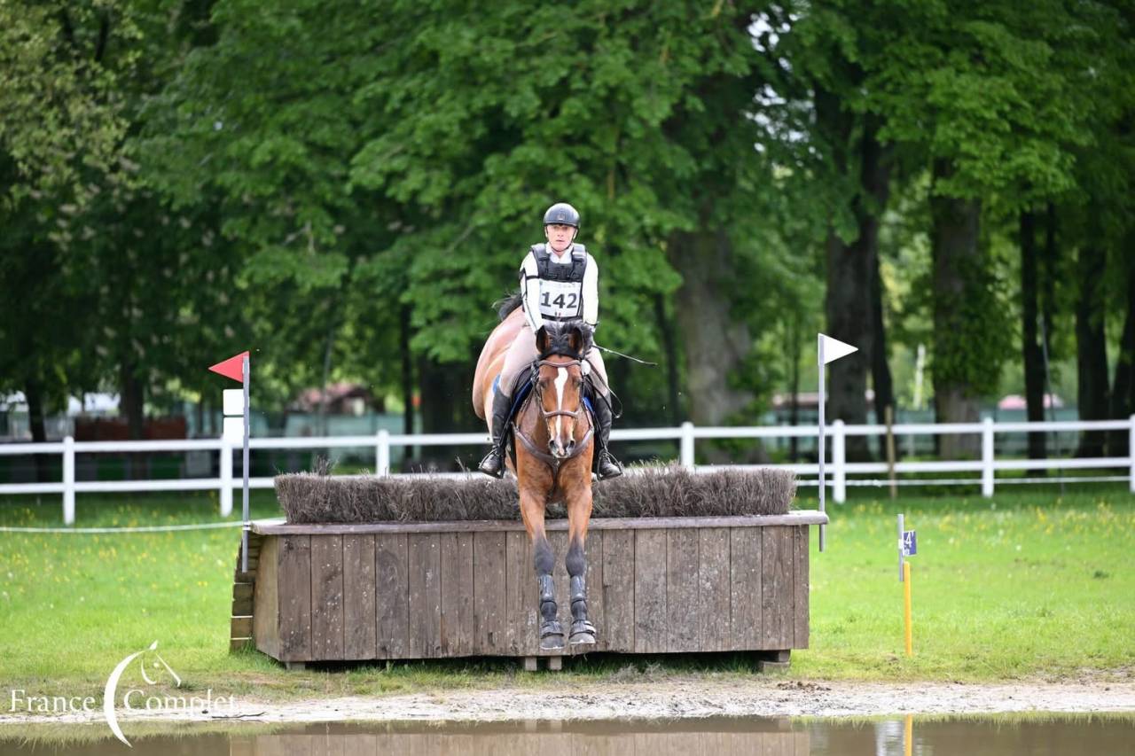 Hongre Zangersheide 9 ans