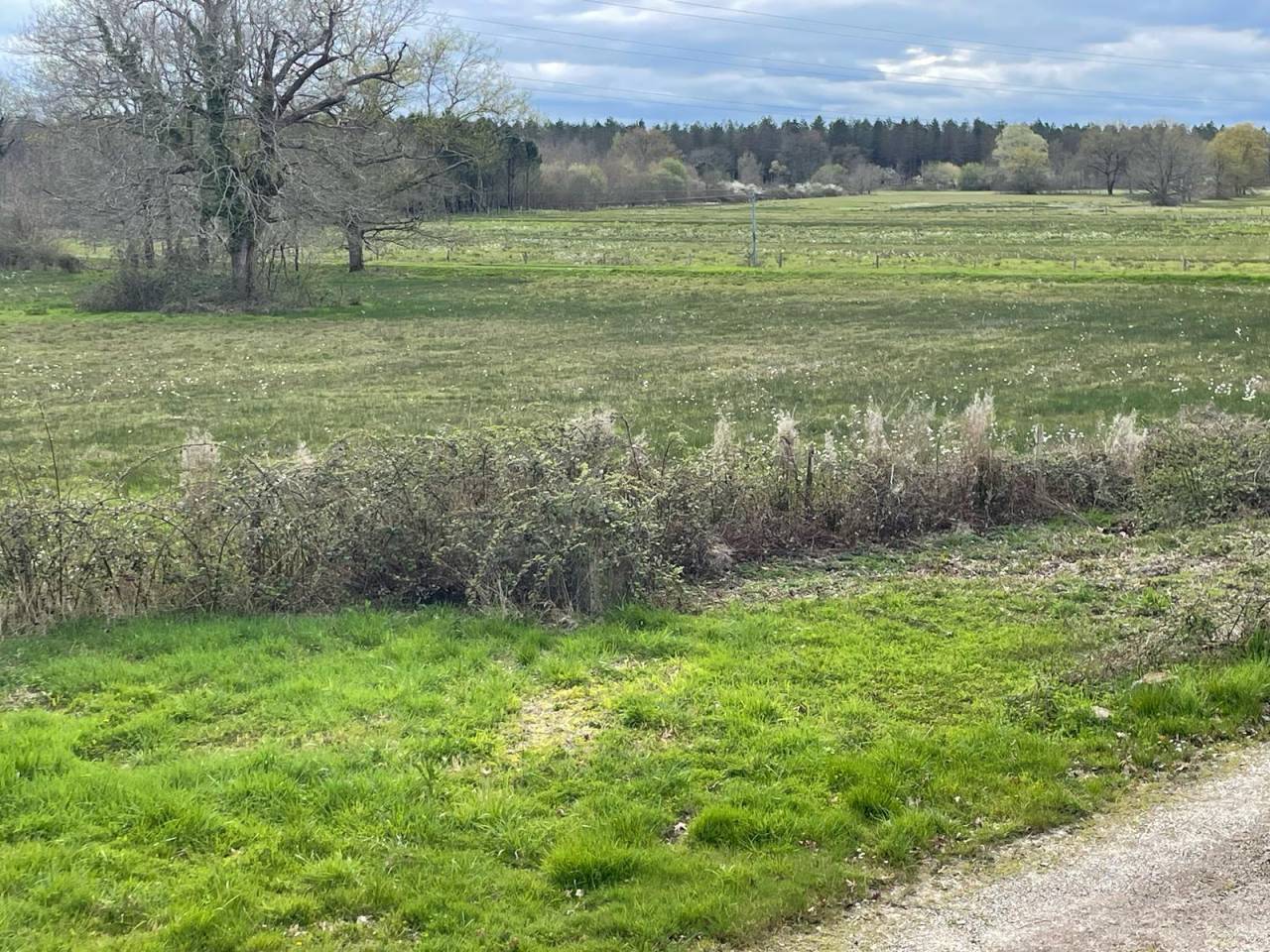 Propriété sur 31 ha idéale chevaux 10 mn MONTPON-M.(24)