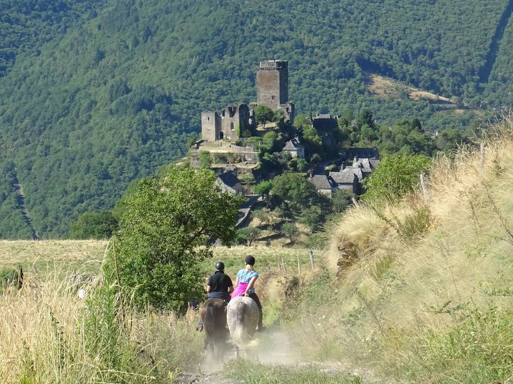 Randonn&eacute;e &agrave; cheval et en attelage en Occitanie 