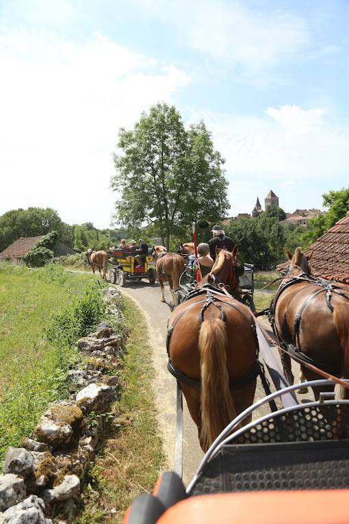 Randonn&eacute;e &agrave; cheval et en attelage en Occitanie 