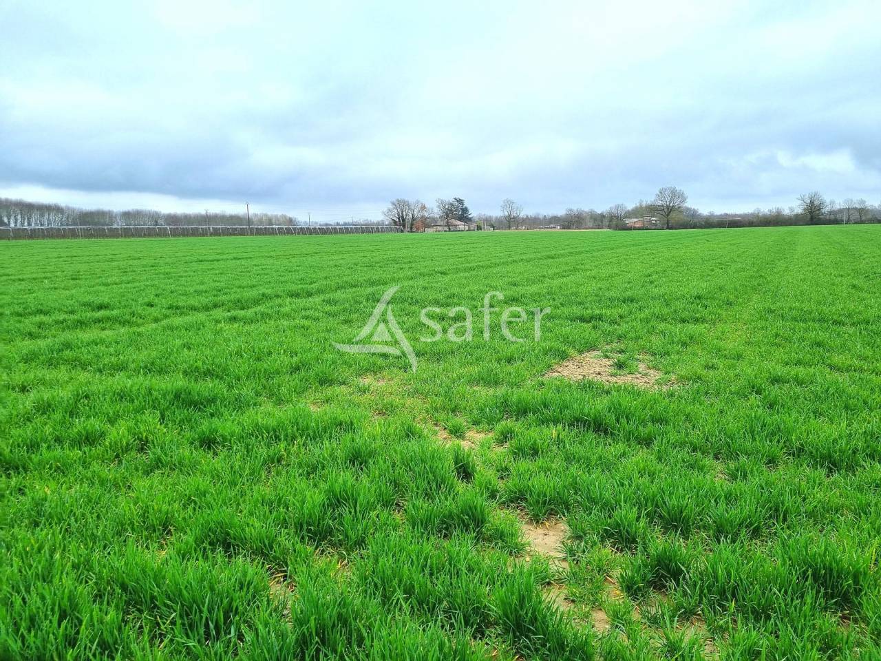 Exploitation polyculture irrigable de 45 ha secteur Terrasses de