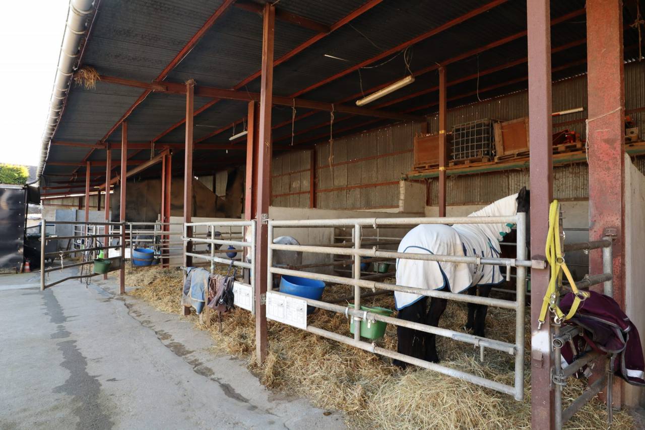 Propriété Équestre avec Maison d'Habitation et Gîte  4