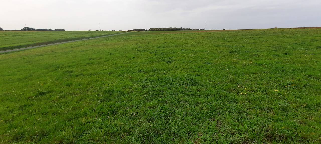 Propriété sur 1,7 ha à 15 mn de Fontenay Le Comte (85)