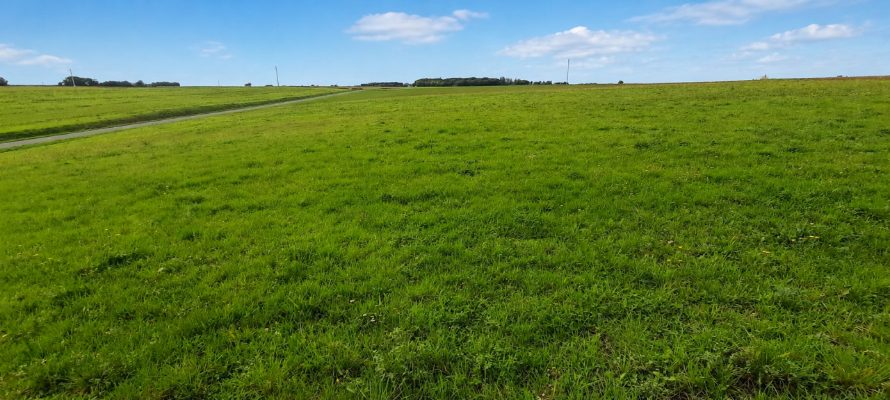 Propri&eacute;t&eacute; sur 1,7 ha &agrave; 15 mn de Fontenay Le Comte (85)