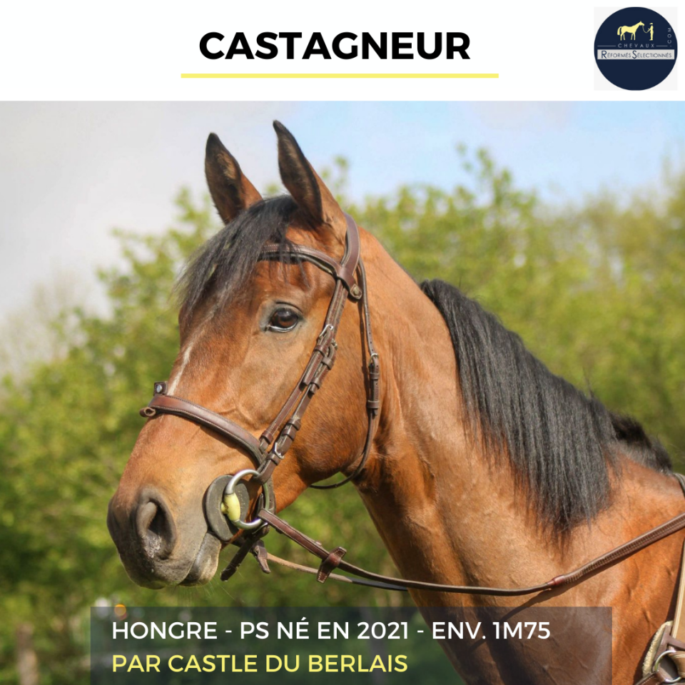 CASTAGNEUR - PS - 4 ANS