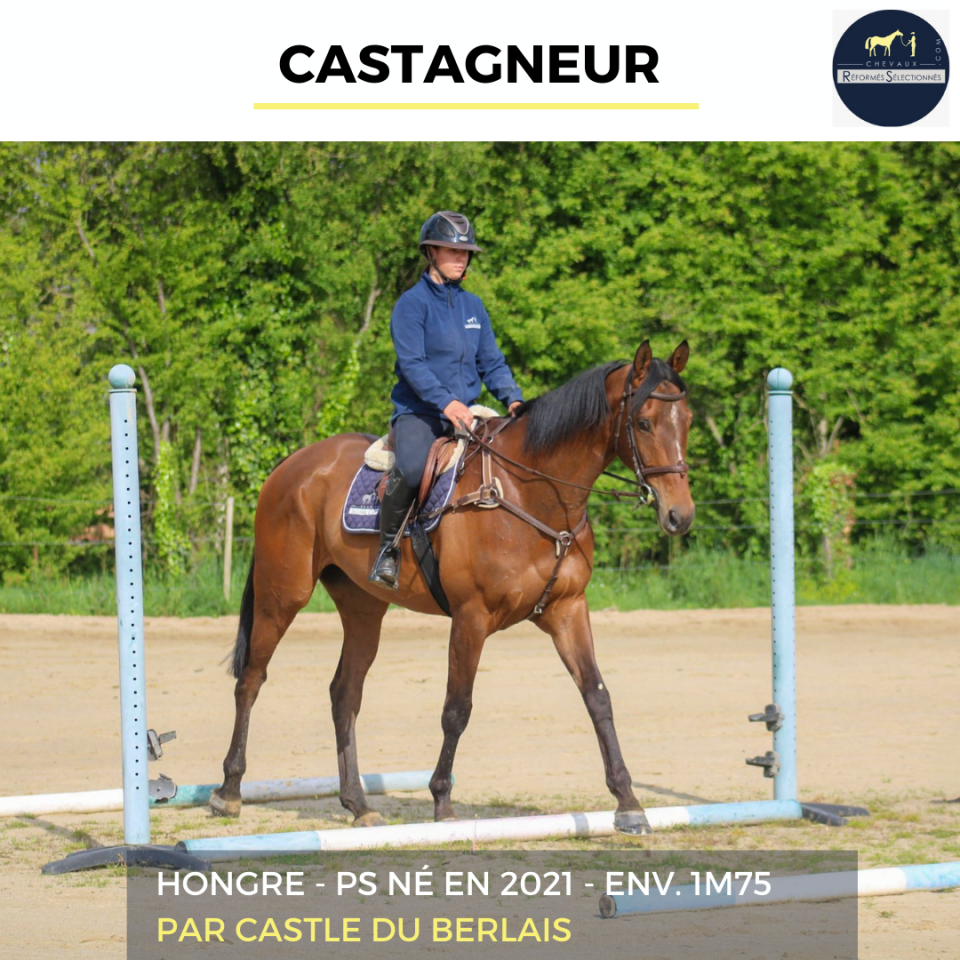 CASTAGNEUR - PS - 4 ANS