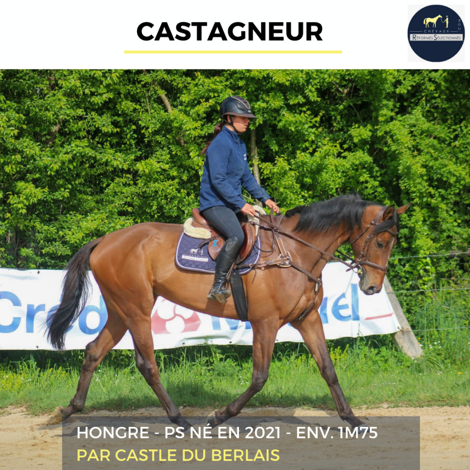 CASTAGNEUR - PS - 4 ANS