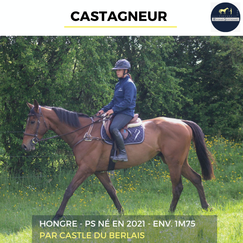 CASTAGNEUR - PS - 4 ANS