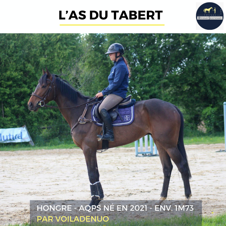 L'AS DU TABERT - AQPS - 4 ANS