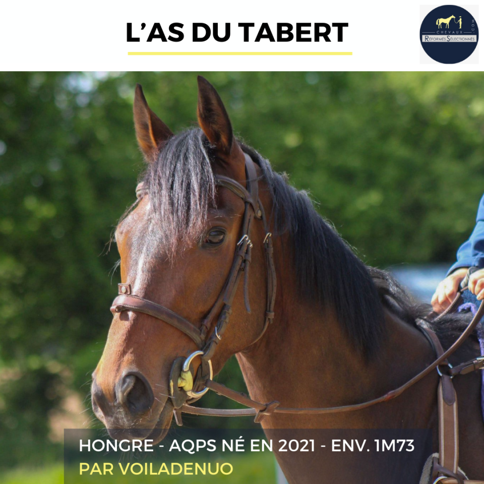 L'AS DU TABERT - AQPS - 4 ANS