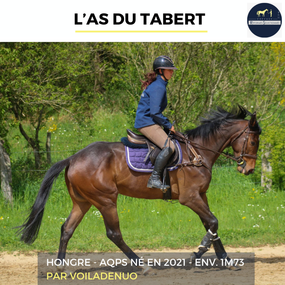 L'AS DU TABERT - AQPS - 4 ANS