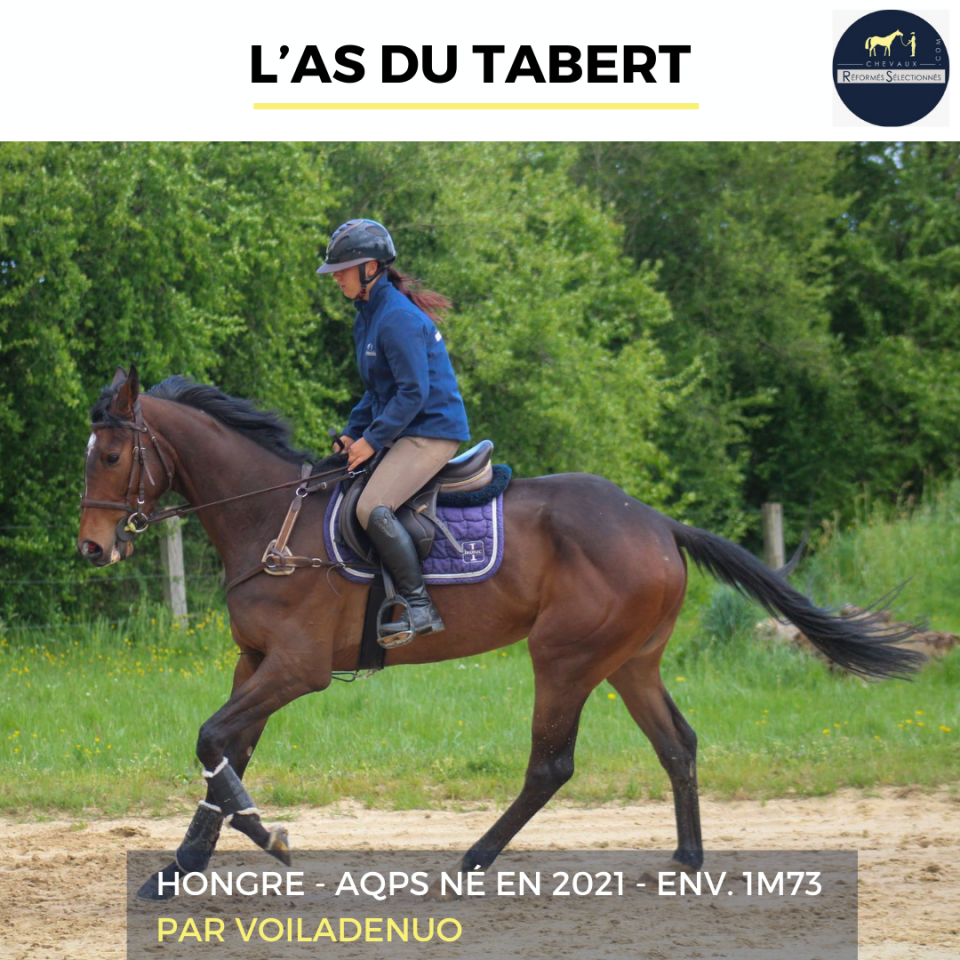 L'AS DU TABERT - AQPS - 4 ANS