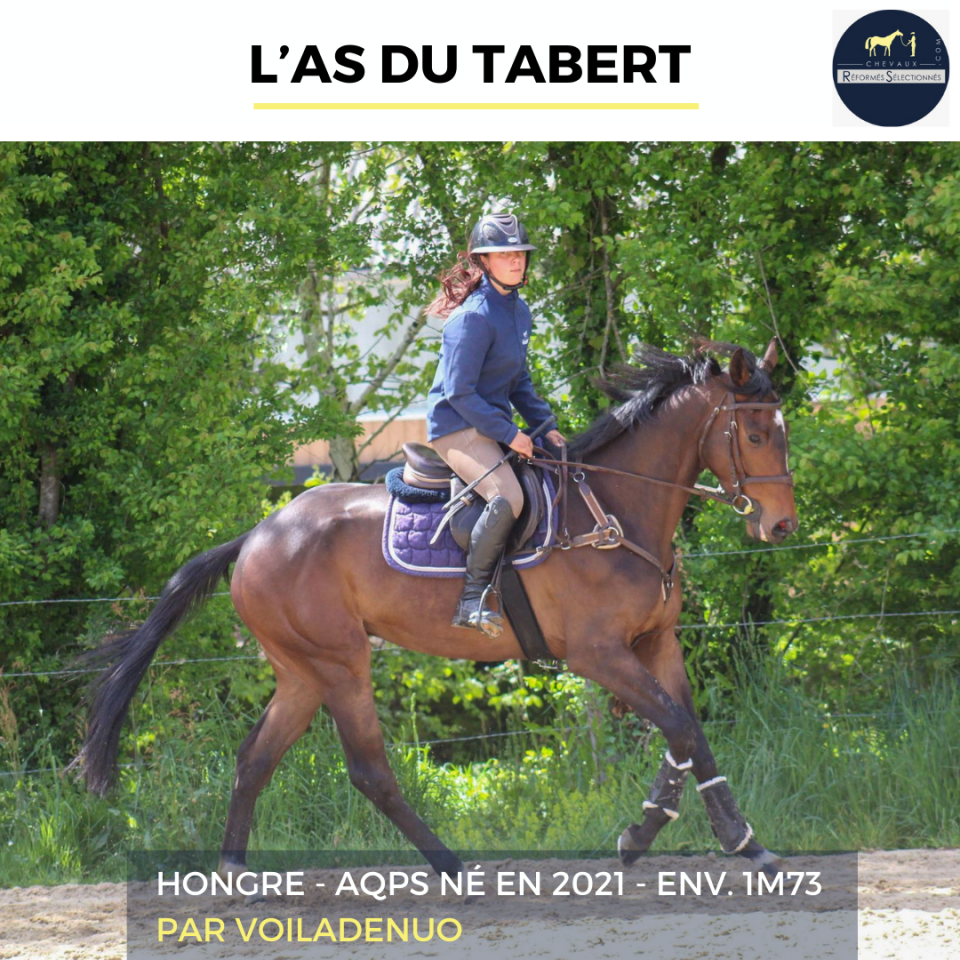L'AS DU TABERT - AQPS - 4 ANS