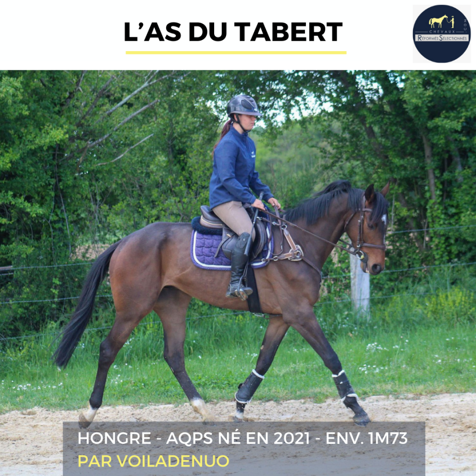 L'AS DU TABERT - AQPS - 4 ANS