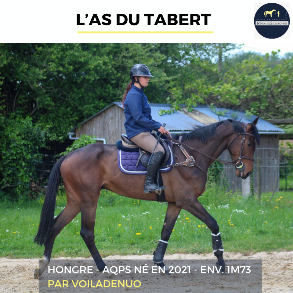 L'AS DU TABERT - AQPS - 4 ANS