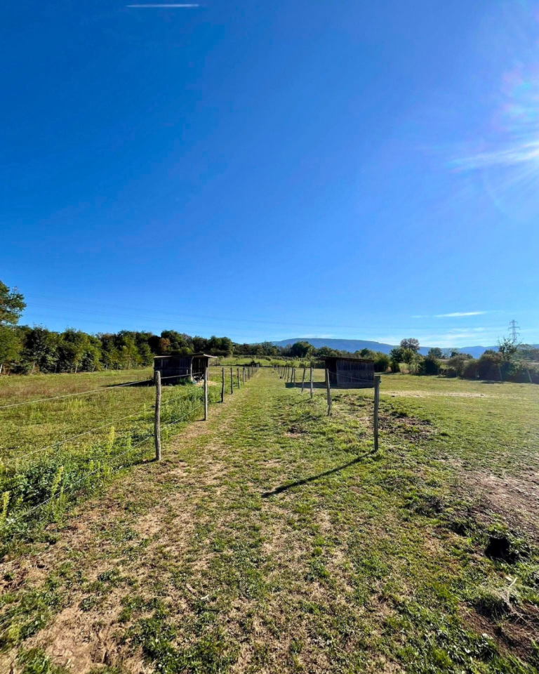 Propriété équestre de 2 hectares (38)