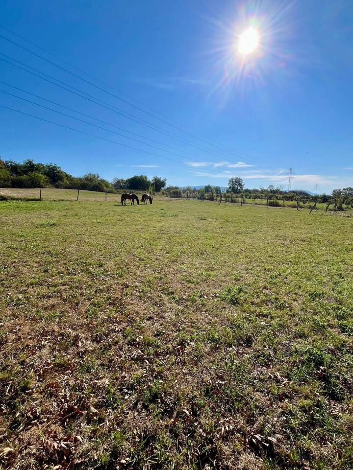 Propriété équestre de 2 hectares (38)