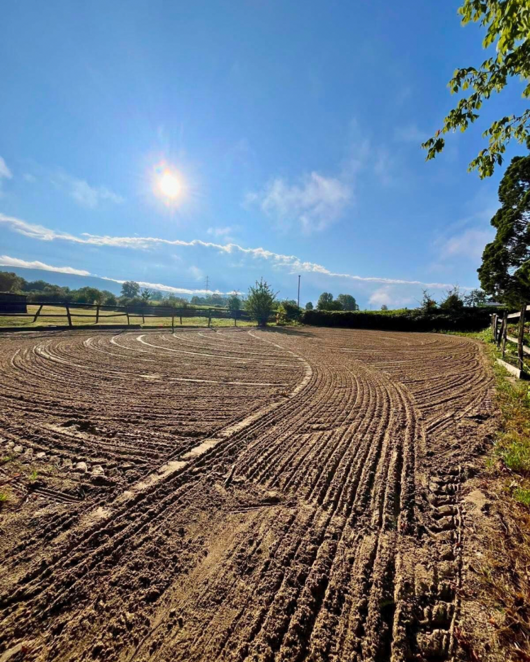 Propriété équestre de 2 hectares (38)