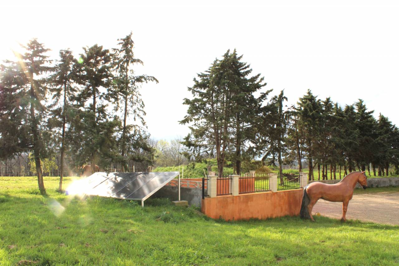 PROPRIETE DE 17 HECTARES DANS  LE TARN ET GARONNE