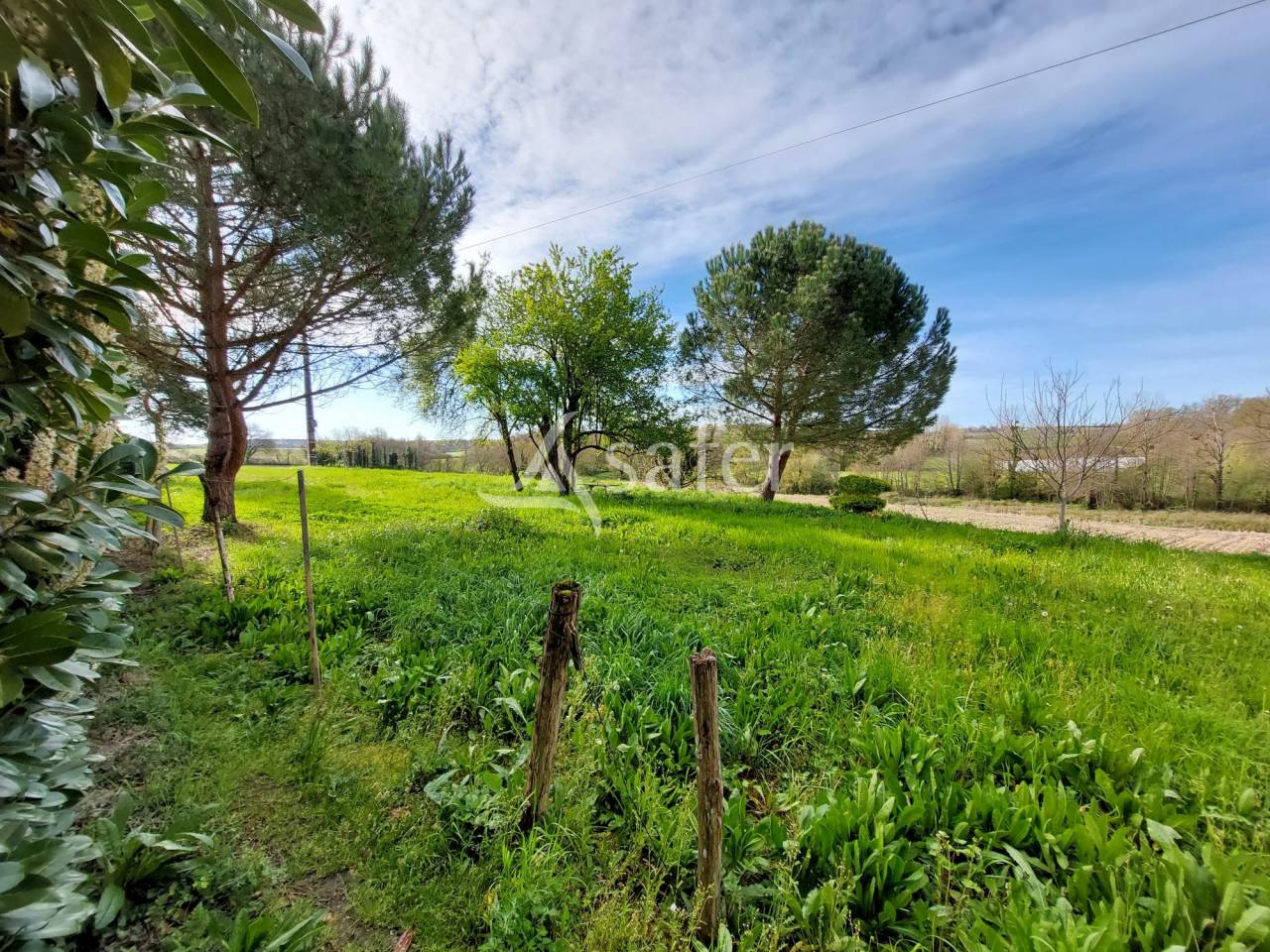 Propriété bâtie sur 22ha proche Ribérac