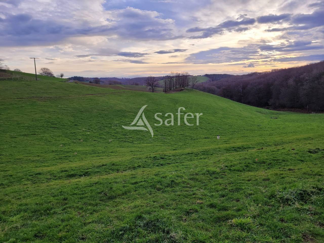 Exploitation Agricole Structure Intégrale