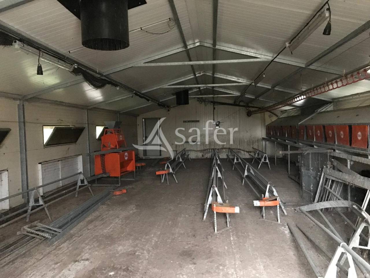 Exploitation avicole (volailles de chair et poules pondeuses) à