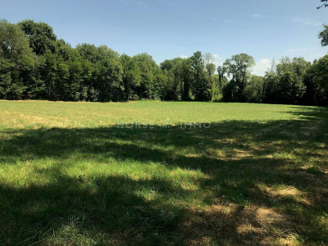 Propriété Equestre proche de Coulommiers