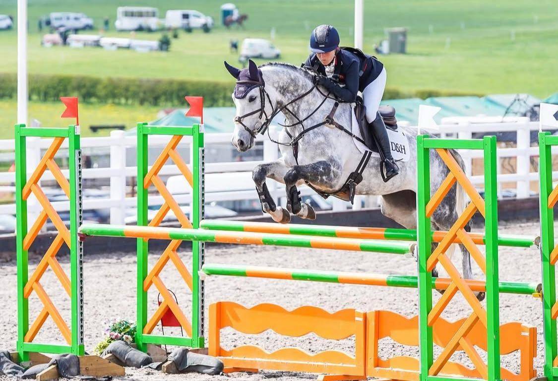 Jument Selle Français A vendre 2015 Bai