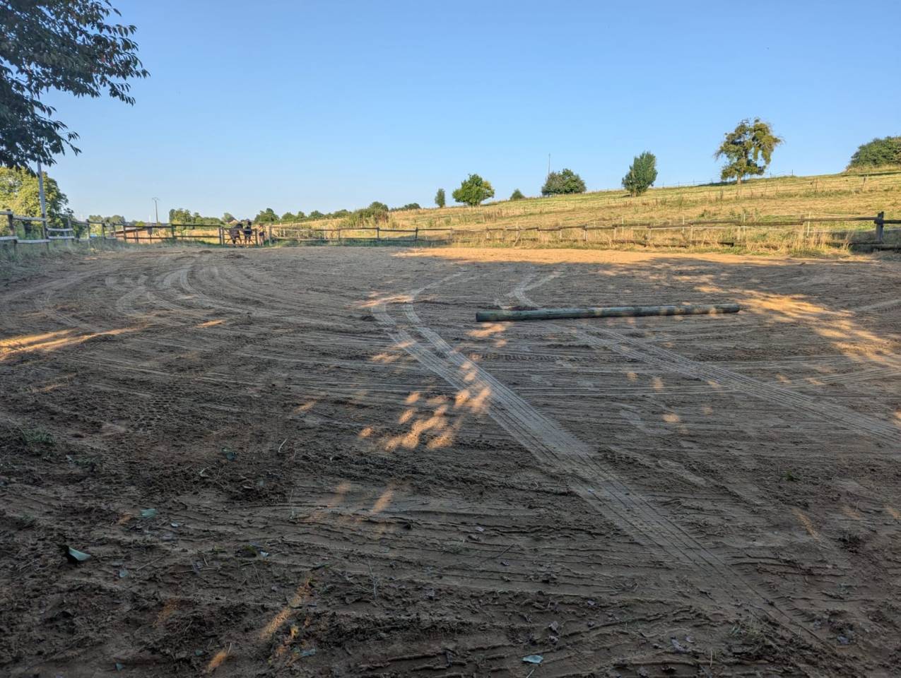 Pension prairie Musson avec piste 