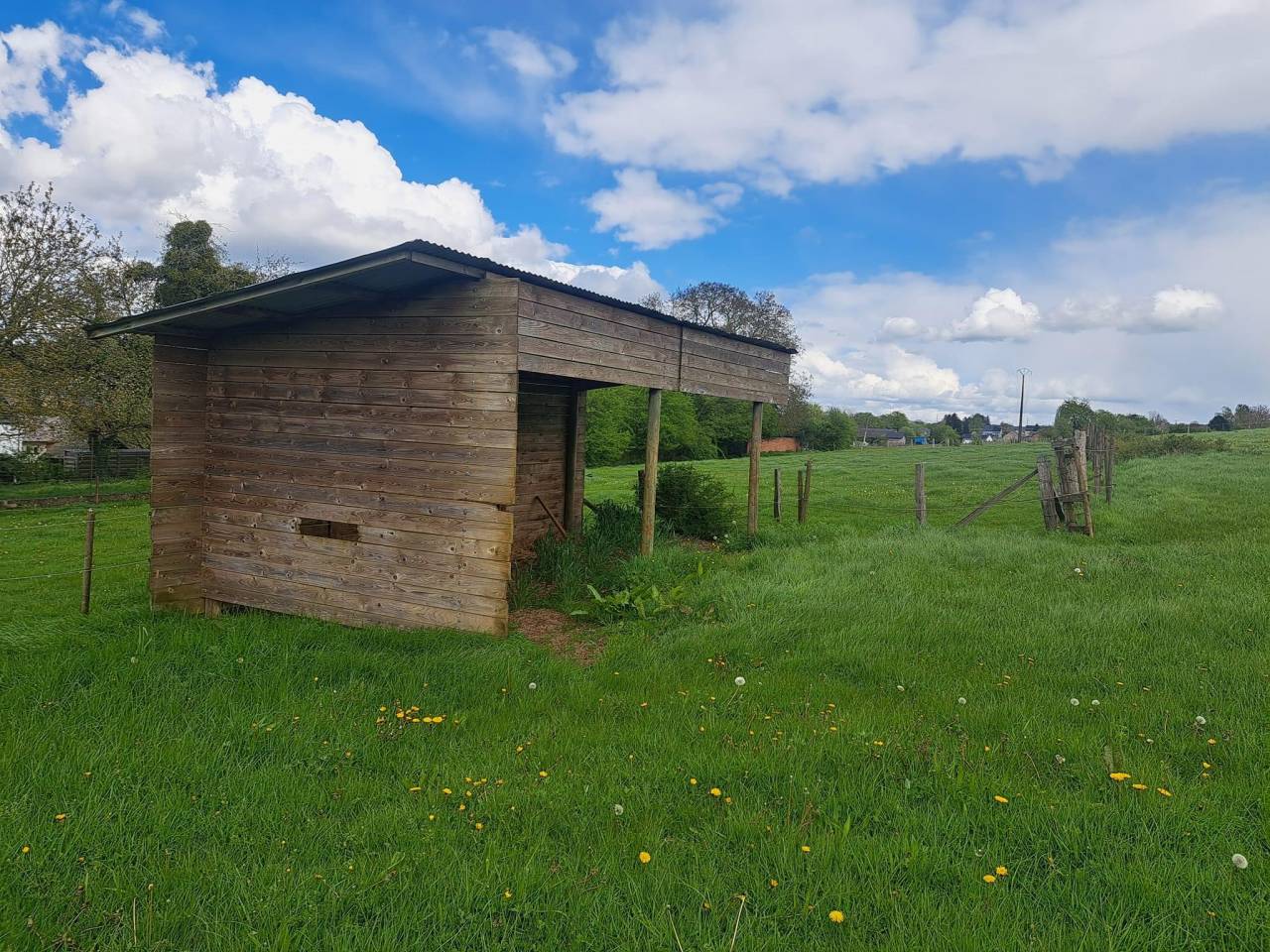 Pension prairie Musson avec piste 